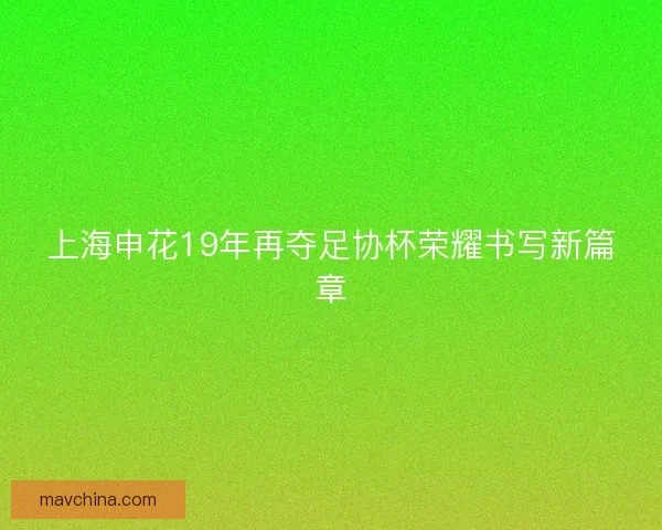 上海申花19年再夺足协杯荣耀书写新篇章